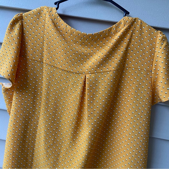 Gently Worn Hilary Radley Cool, Soft, Lightweight Short Sleeve Top w/Polkadots - Picture 14 of 16